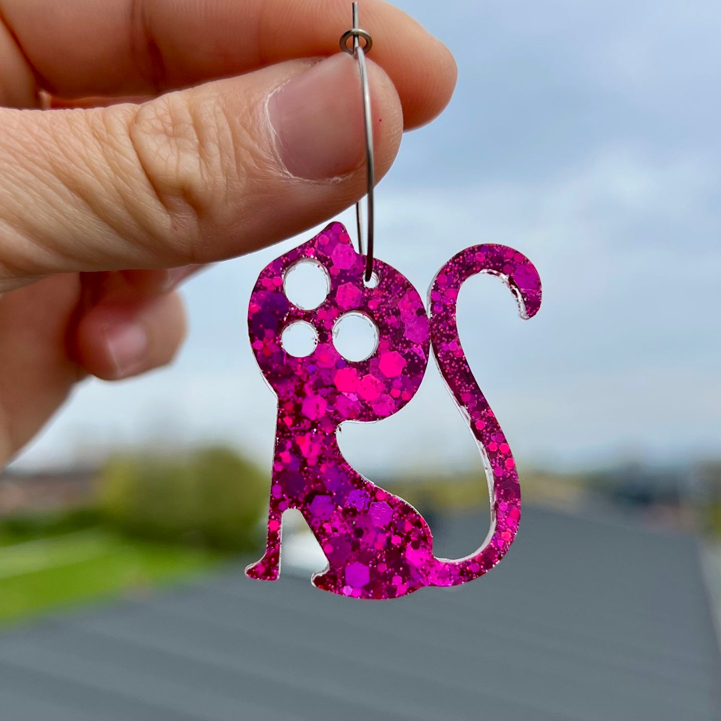 Cosmic kitty