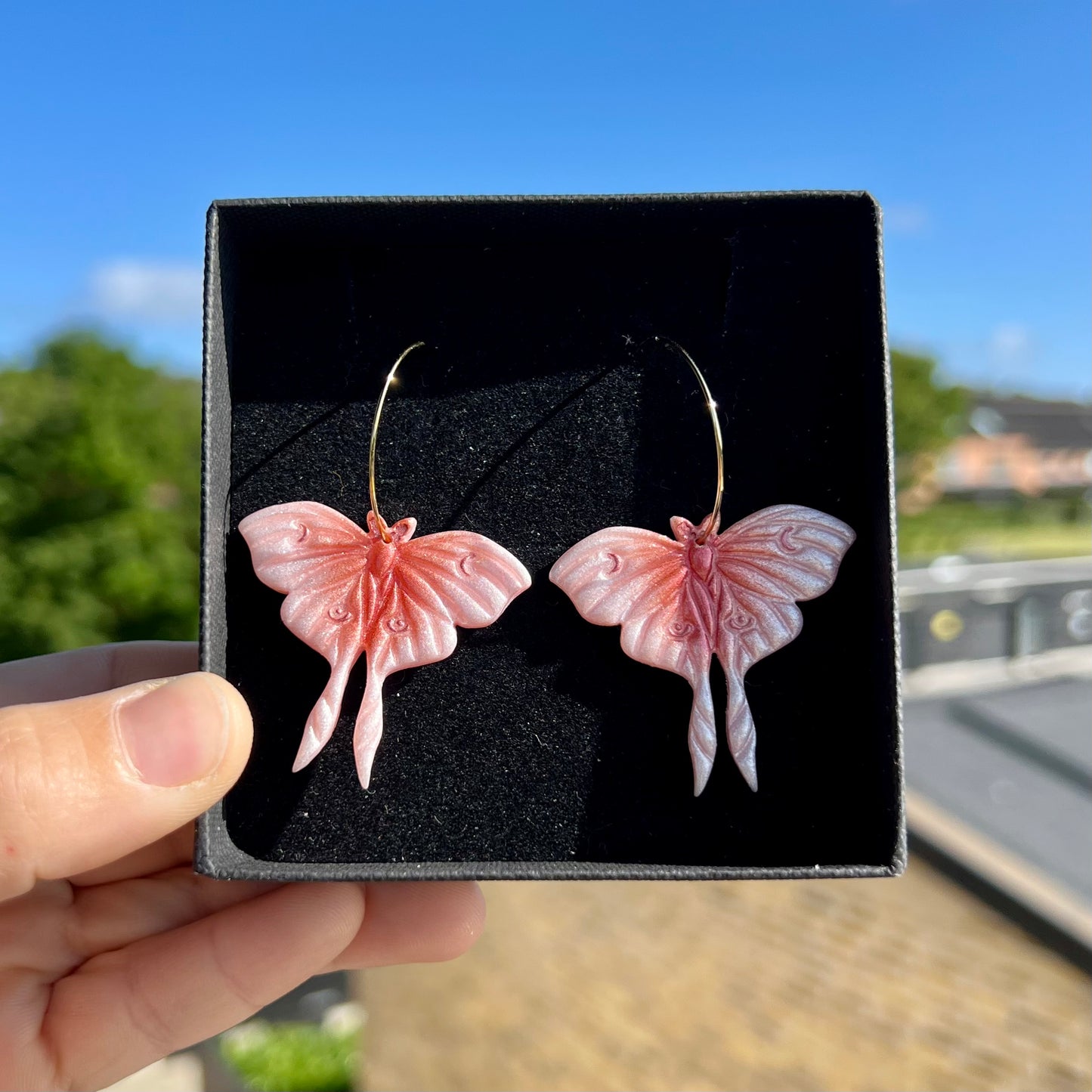 Moth 2