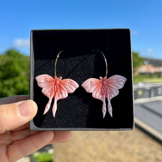 Moth 2